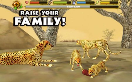 Cheetah Simulator