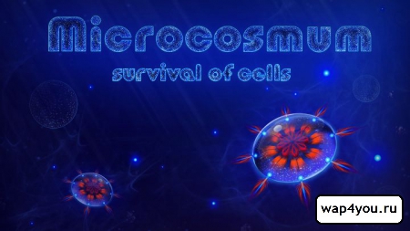 Обложка Microcosmum: survival of cells