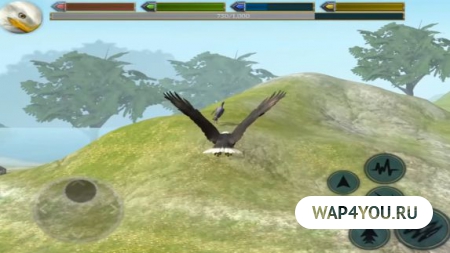Ultimate Bird Simulator на Андроид