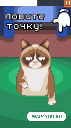 Сердитый Котик: ужасная игра