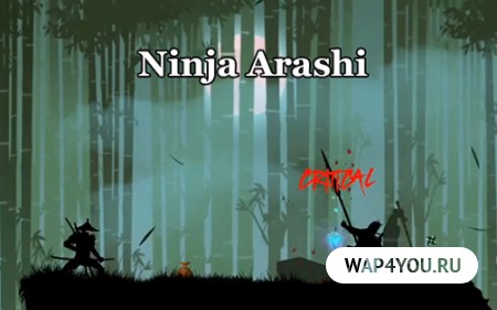 Ninja Arashi полная версия