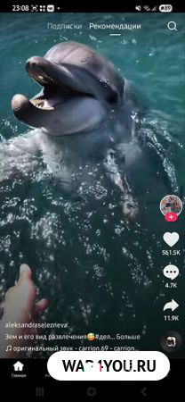 Главный экран TikTok Mod с видео Главный экран TikTok Mod с видео